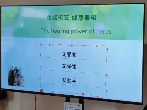 植物5147